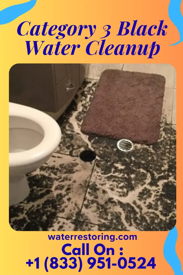 Category 3 Black Water Cleanup in Lake Nebagamon, WI