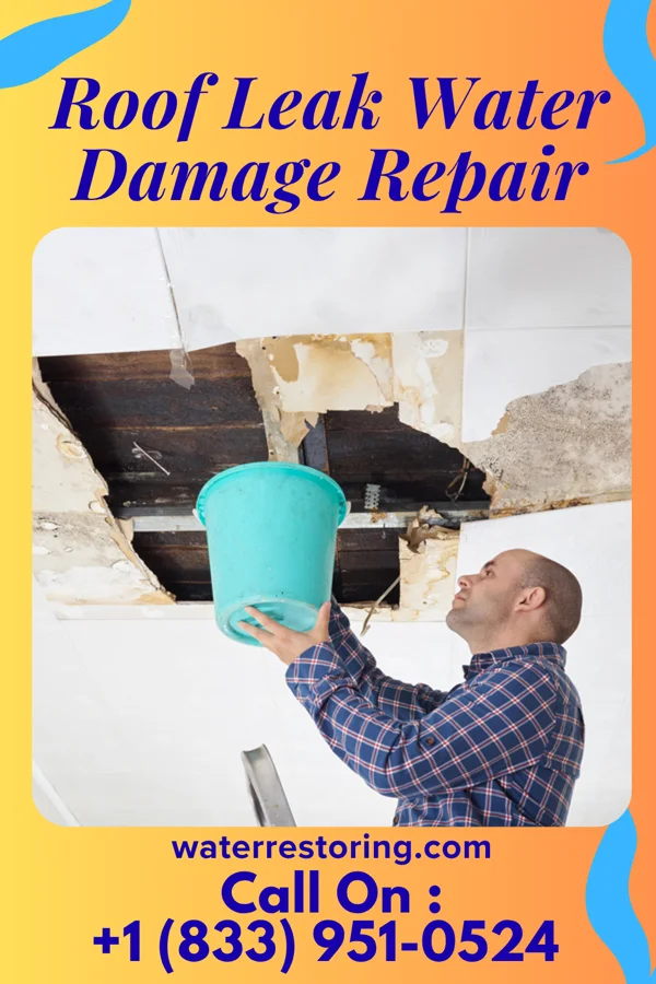 Roof Leak Water Damage Repair in Lake Nebagamon, WI