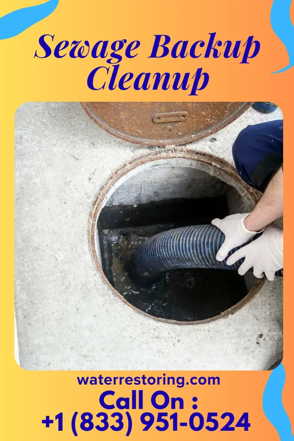 Sewage Backup Cleanup in Lake Nebagamon, WI